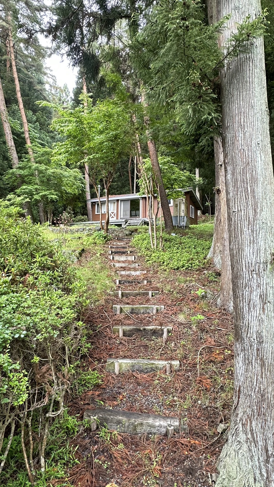 森の中の河口湖別荘